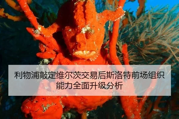 利物浦敲定维尔茨交易后斯洛特前场组织能力全面升级分析